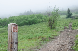 Marker post for the Hunter's Pass spur trail.